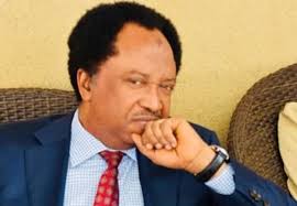 State Police Will Be Used To Rig Elections, Persecute Political Opponents, Harass Non Indigenes – Shehu Sani.